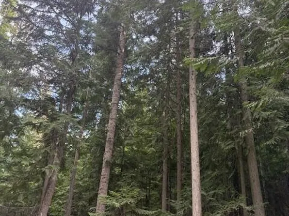 Big Buck Rd, Bayview, ID 83803