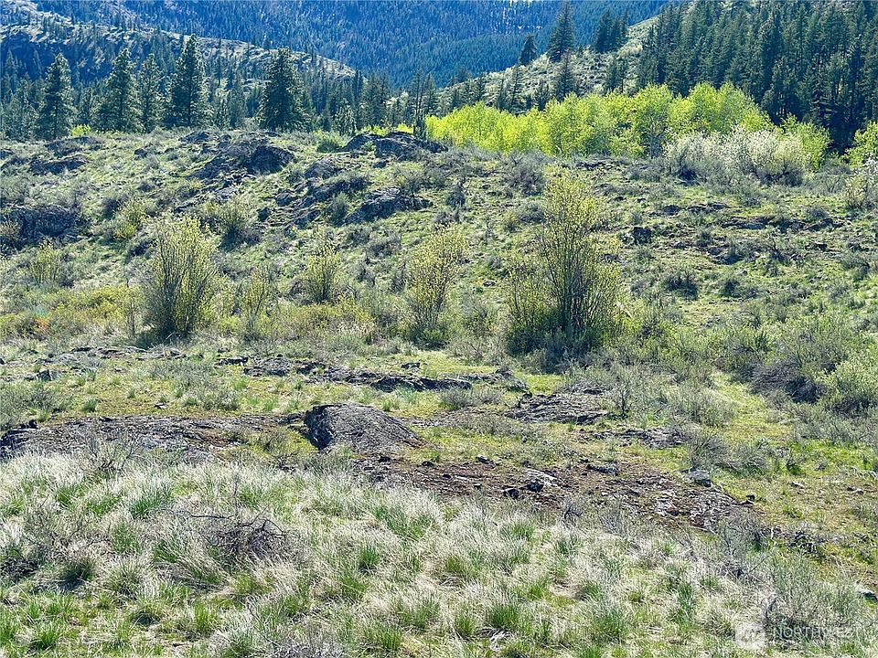 1st image of 2 x Alder Road
