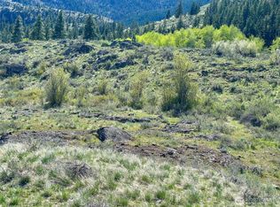 2 x Alder Road, Twisp, WA 98856