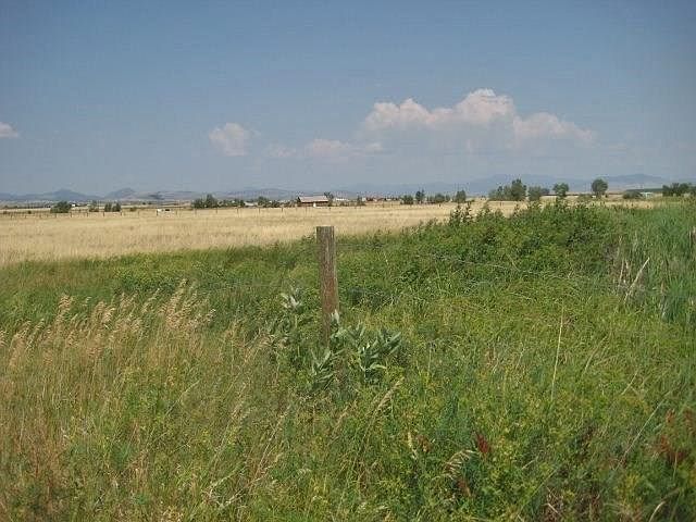 2nd image of 6 Fraker Loop