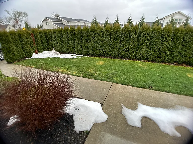 1718 Kok Rd #B — Photo 19