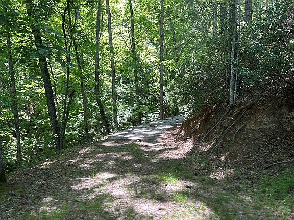 4th image of LOT 38 River Ridge Rd