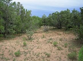 2nd image of 28 Kiva Pl