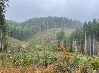 58 Xx State Rte #6, Pe Ell, WA 98572