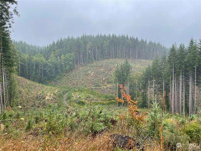 58 xx State Route 6, Pe Ell, WA, 98572