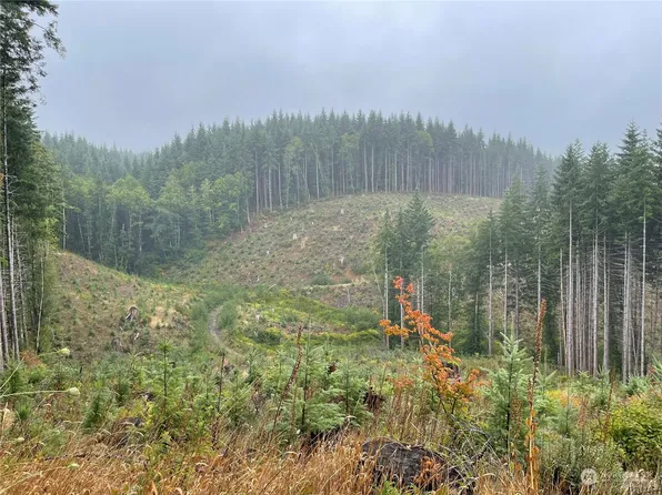 58 xx State Route 6, Pe Ell, WA 98572