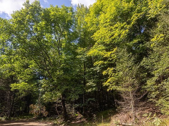 4th image of 3770 State Highway 17 Lot 3