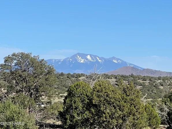 8801 S Rim Ranch Rd, Williams, AZ 86046