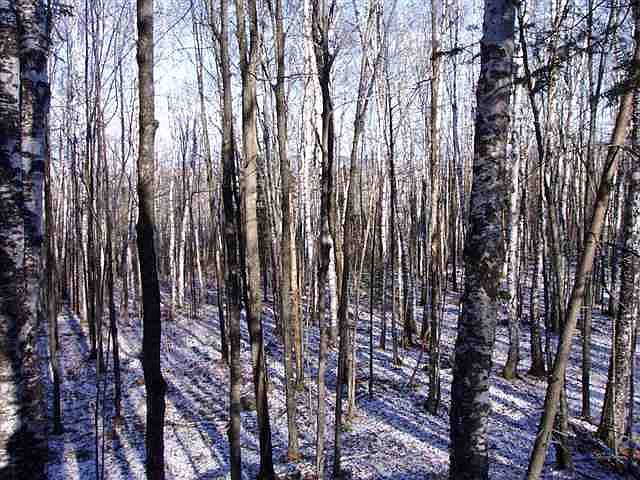 2nd image of Lot 10 Birch Hill Rd