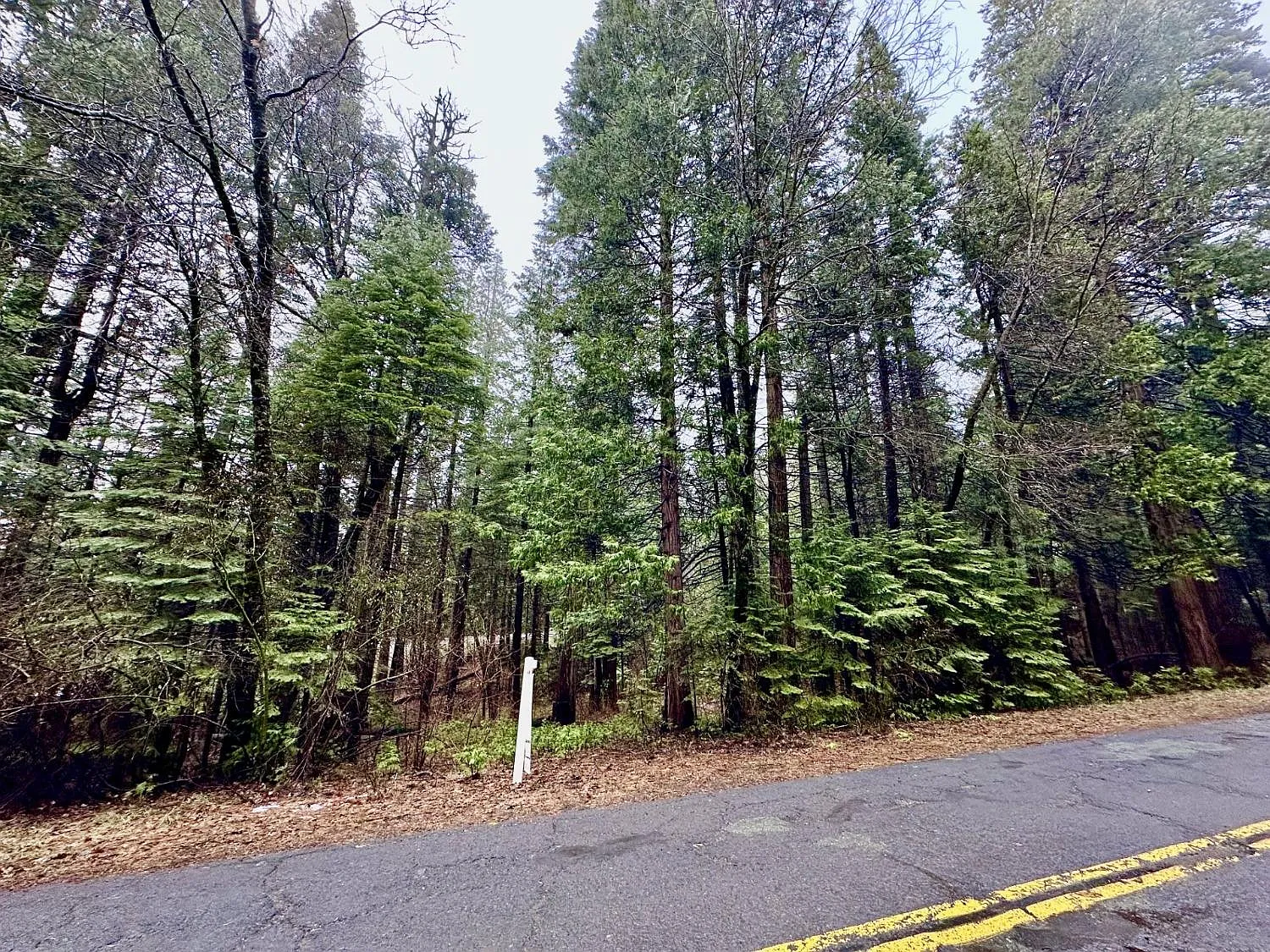 628 Arnold Byway photo 1