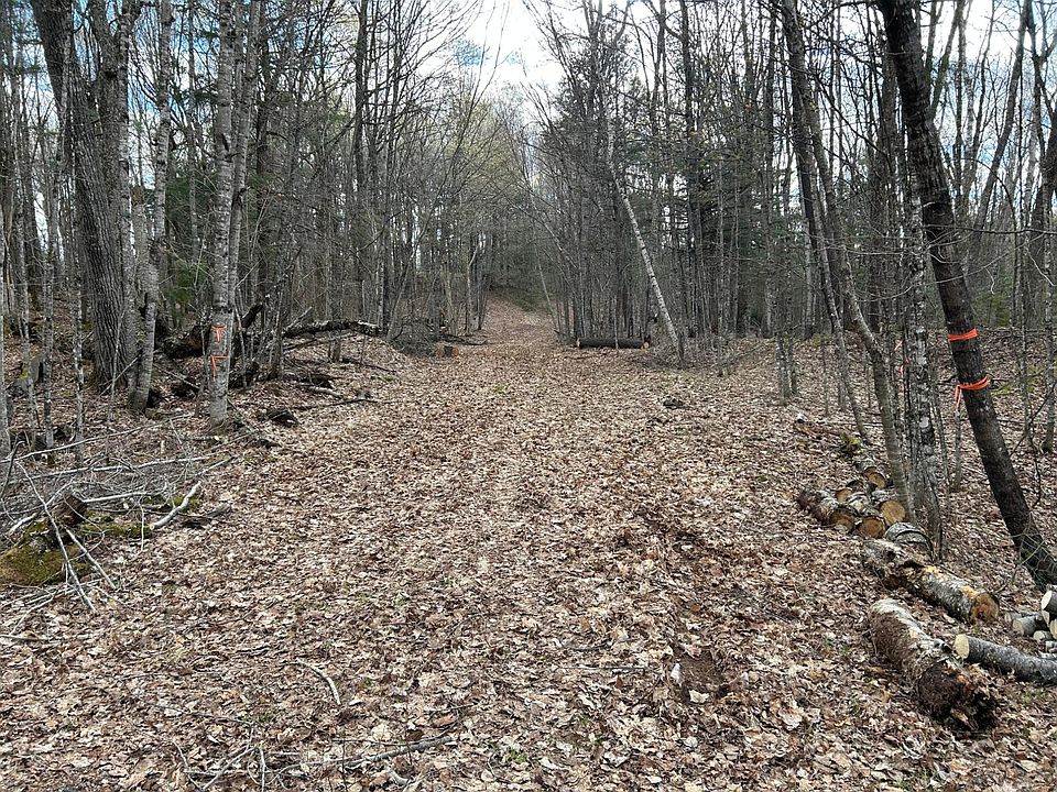 1st image of Tall Timbers Rd