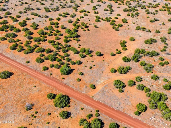 8085 County Rd, Concho, AZ 85924
