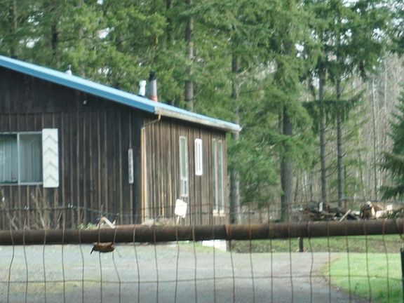 4th image of 31515 50th Ave E