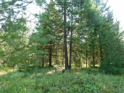 Xxo Deer Valley Rd PARCEL A, Newport, WA, 99156