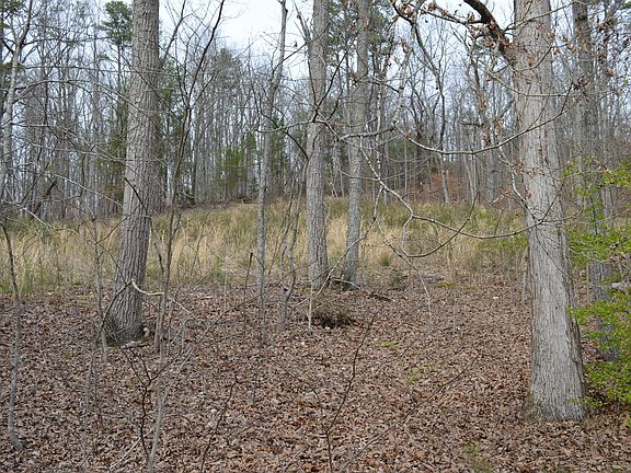 2nd image of 0 Little Falls Cir NW #4