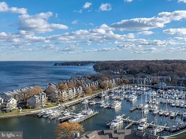 7036 Harbour Village Ct #T1 — Photo 31