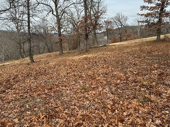 3rd image of 22 E Timbercrest Dr