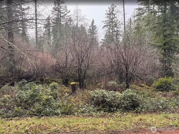 10618 Tahoma Drive, Anderson Island, WA 98303