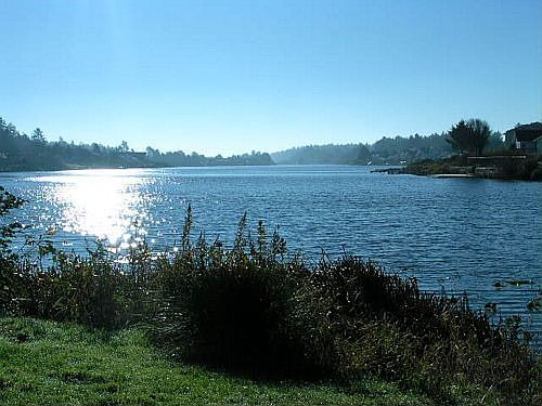 5th image of 249 Duck Lake Dr NE