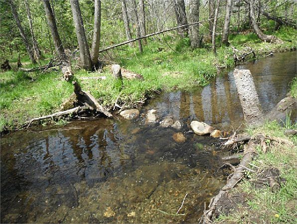 2nd image of 476 Callaghan Rd