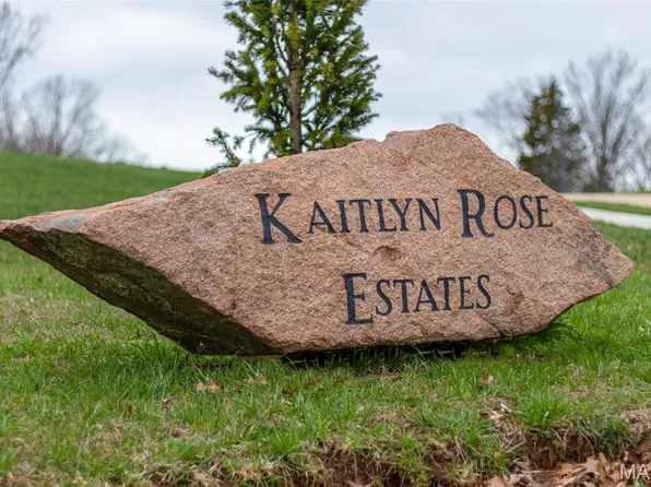 4629 Dylan Dr Lot 8, De Soto, MO 63020