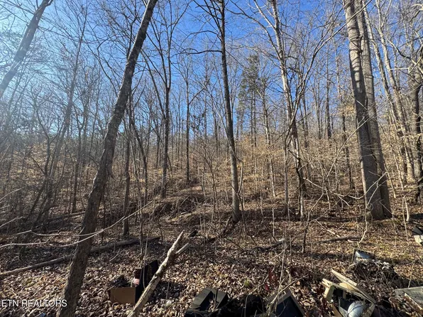 Wolfenbarger Ln, Luttrell, TN 37779