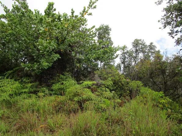 Loke Rd Lot 3086, Keaau, HI 96749
