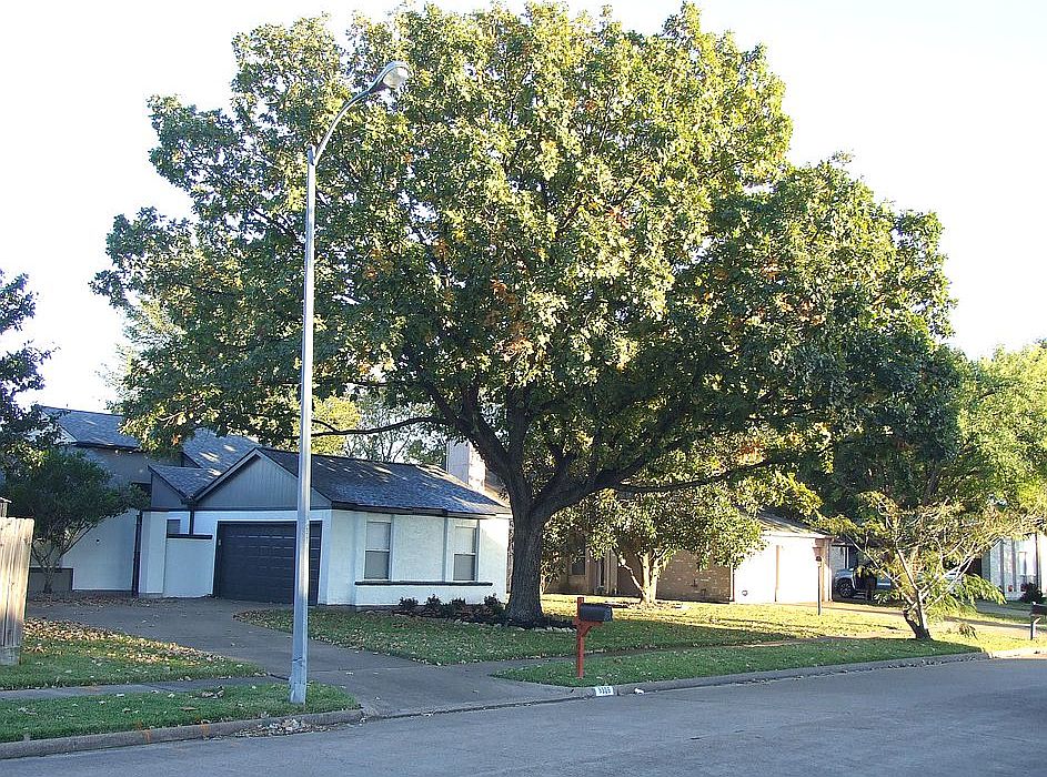 2nd image of 6906 Heather Hollow Dr
