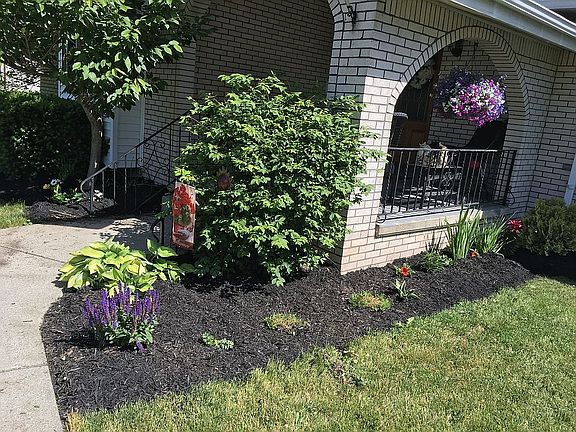 Updated landscaping!!