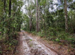 0 NE 175th Ave, Williston, FL 32696