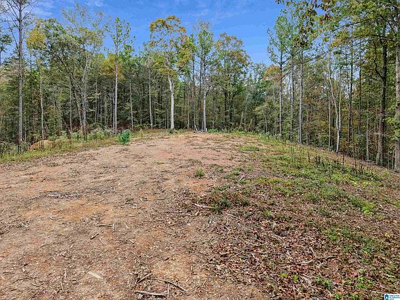 2nd image of 1215 Buddy Vines Camp Rd #0