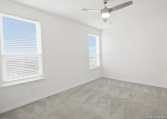 11634 Black Rose — Photo 15
