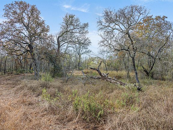 2nd image of 766 Bugtussle Ln