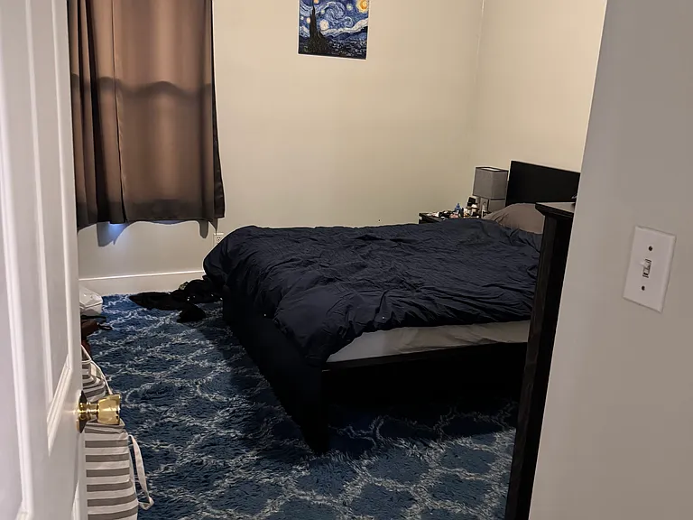 161 Putnam Ave #5 — Photo 8