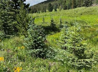 Lot 3091 Sterenson Place, Fort Garland, CO 81133