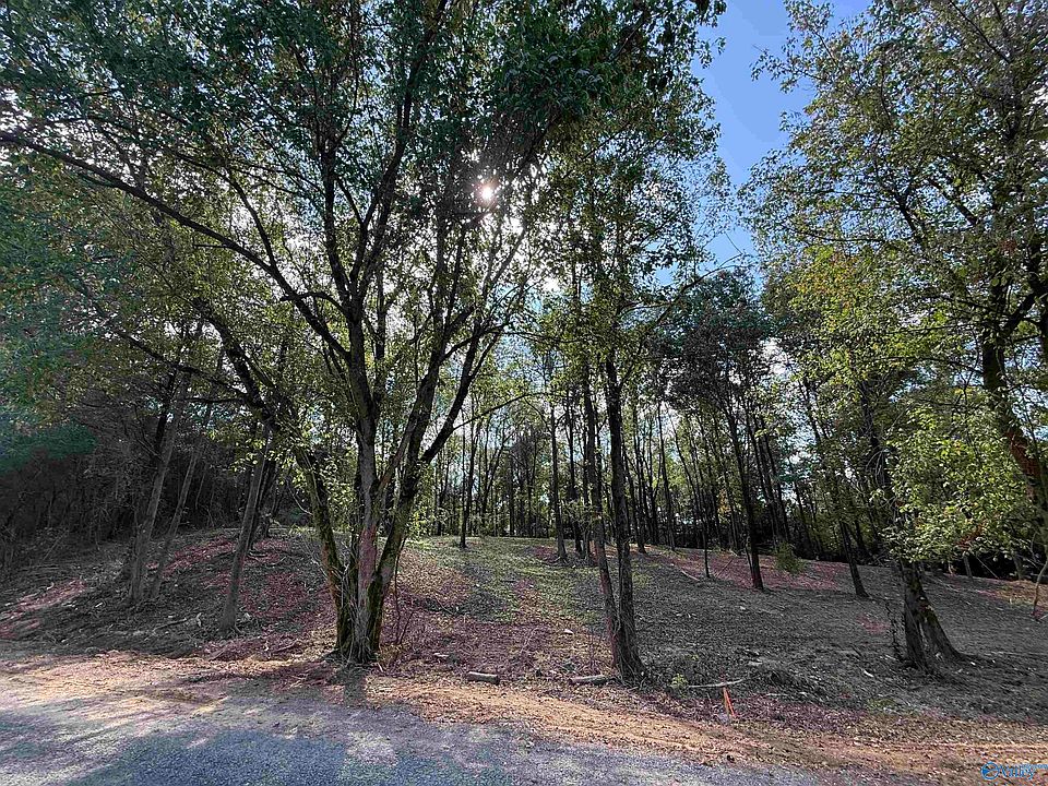 2nd image of 12B County Road 1123