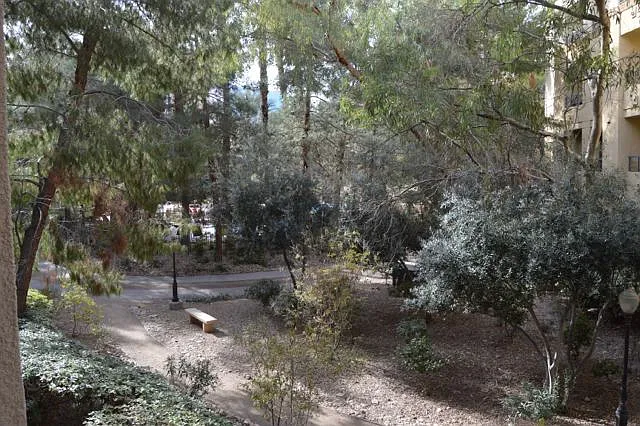 260 E Flamingo Rd #116 — Photo 22