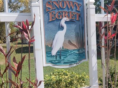 10901 Snowy Egret Cir, Estero, FL, 33928