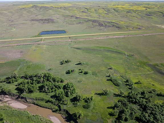 Dji 20260602094424 0090 D Talltines