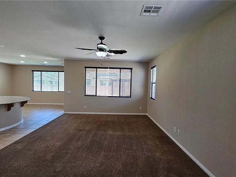 8685 Sparrow Desert Ave — Photo 4
