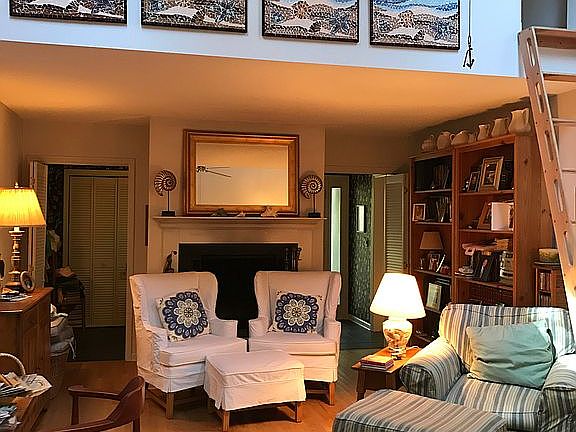 Family rm Vaulted ceiling