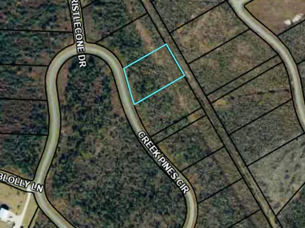 LOT 128 Creek Pines Cir, Wewahitchka, FL 32465