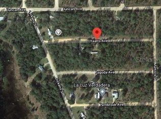 0 Yeatts Ave #28, Interlachen, FL 32148