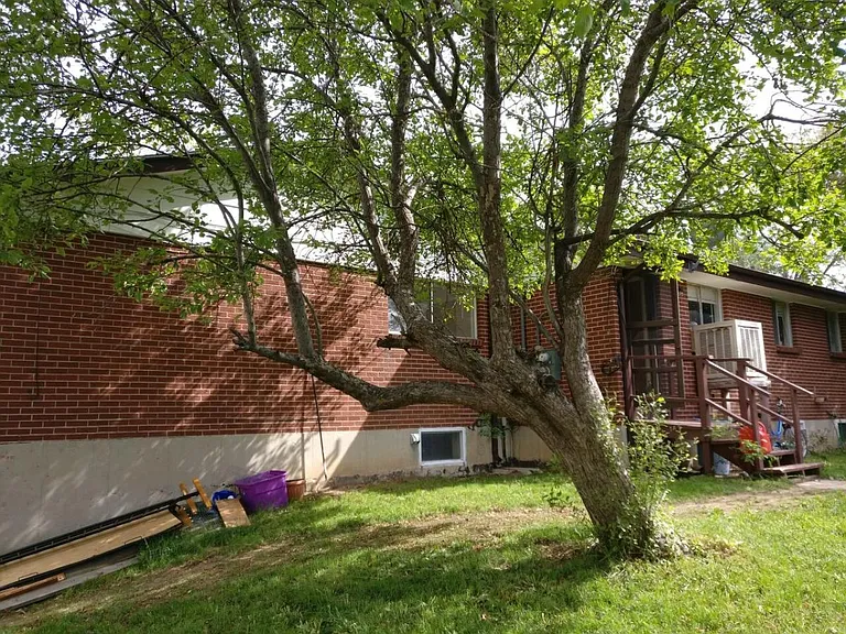 11521 W 61st Pl — Photo 3