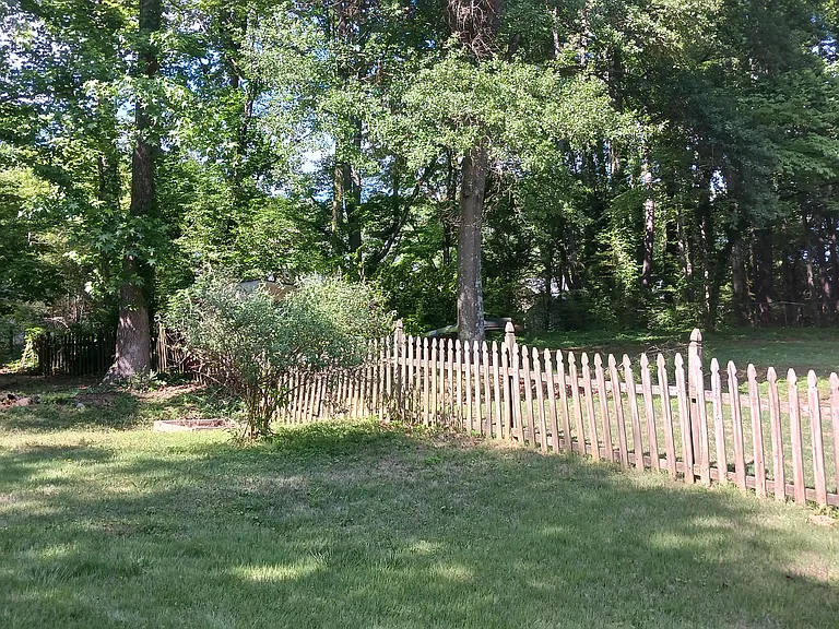 Right side of fenced backyard has a sunny garden bed