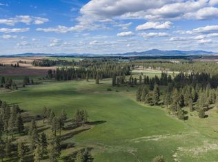 32312 S North Pine Creek Rd, Spangle, WA 99031