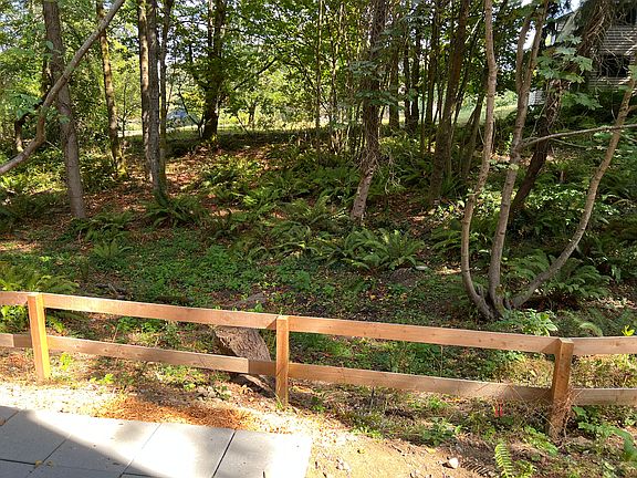 View from Patio.
