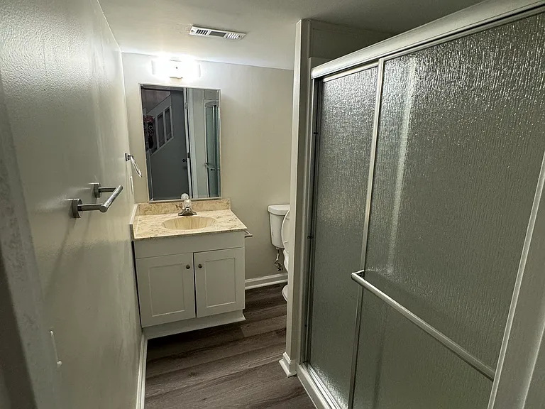 basement full bath with shower