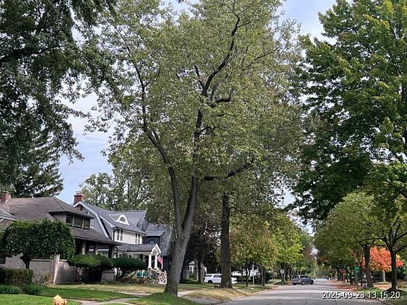 Exterior Neighborhood (street photo)