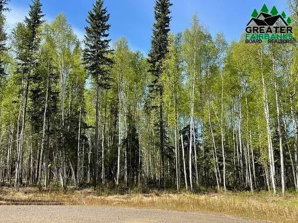 Nhn Fairland Dr, North Pole, AK 99705